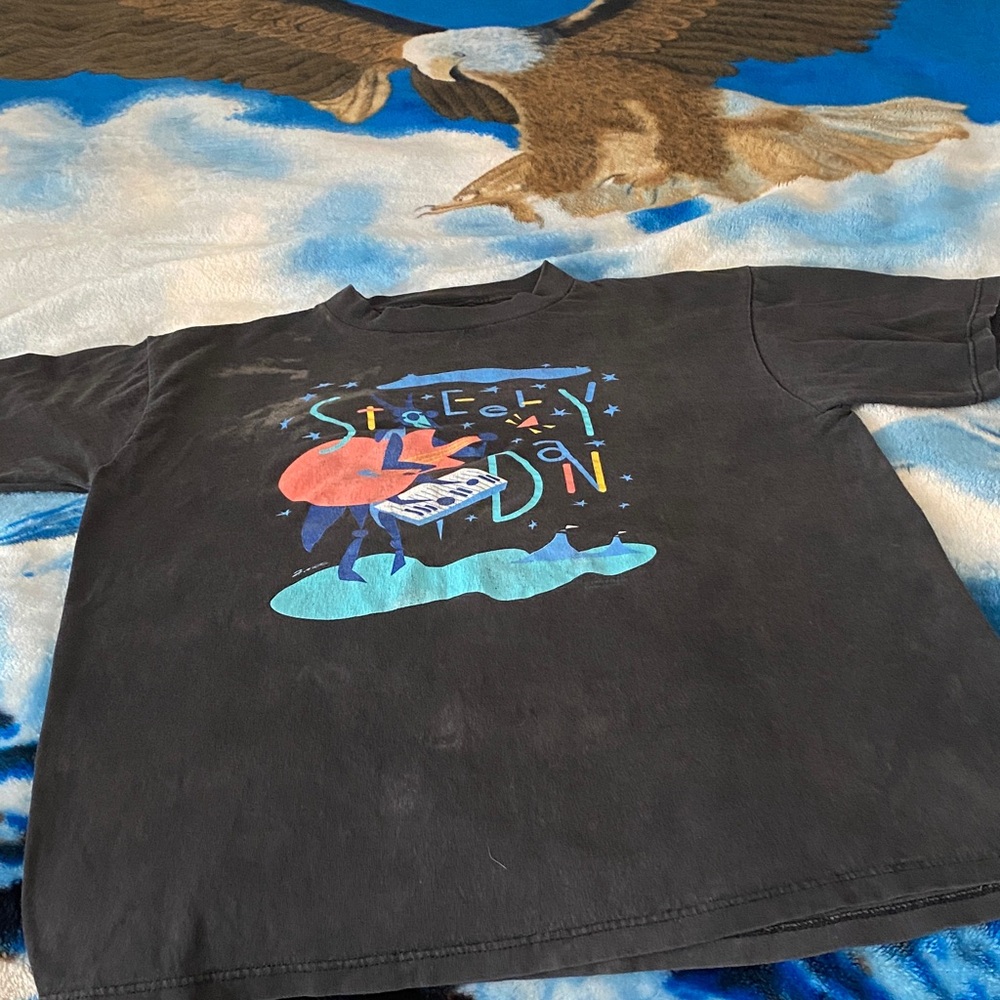 Tultex Black Graphic Tee - Short Sleeve. 1994 concert T. Steely Dan